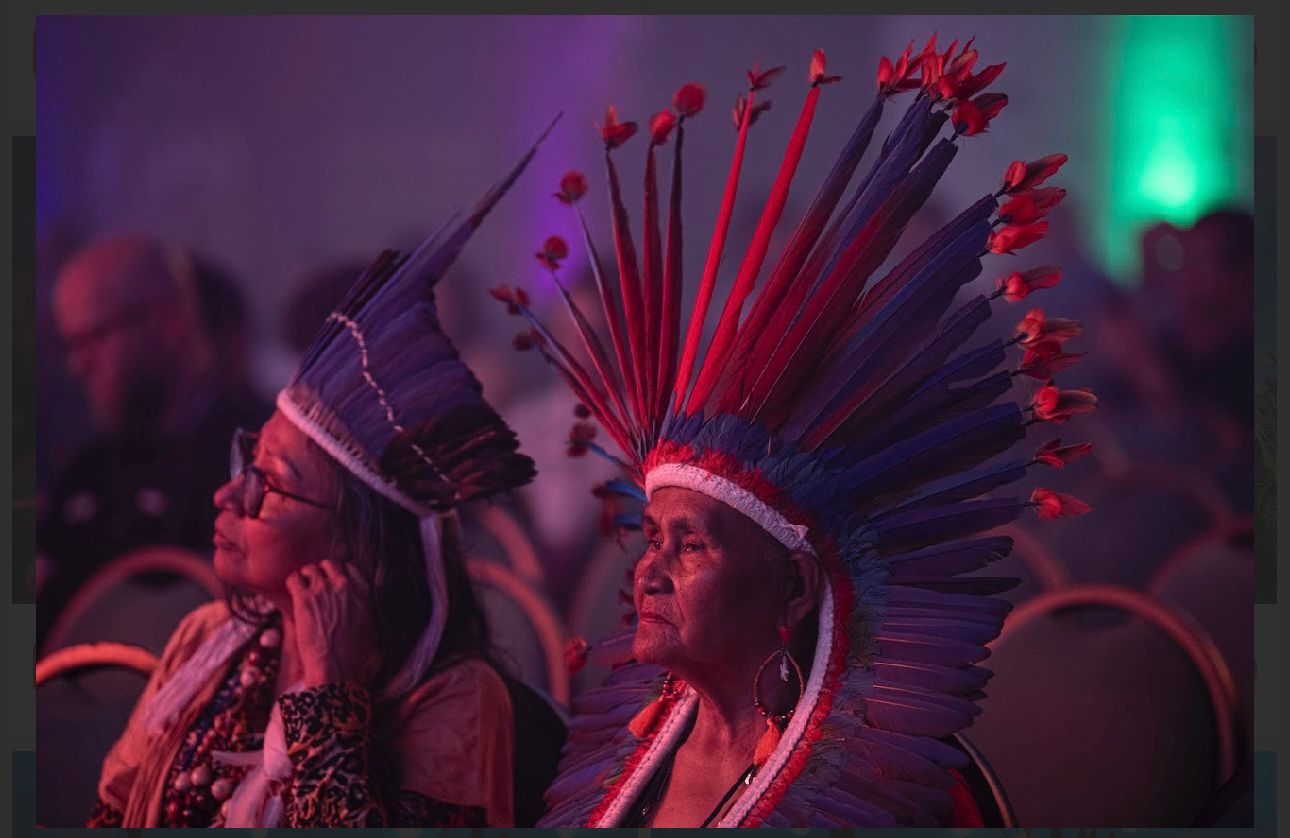 Elos da Amazônia 2024: Edital selecionará startups lideradas por empreendedores indígenas