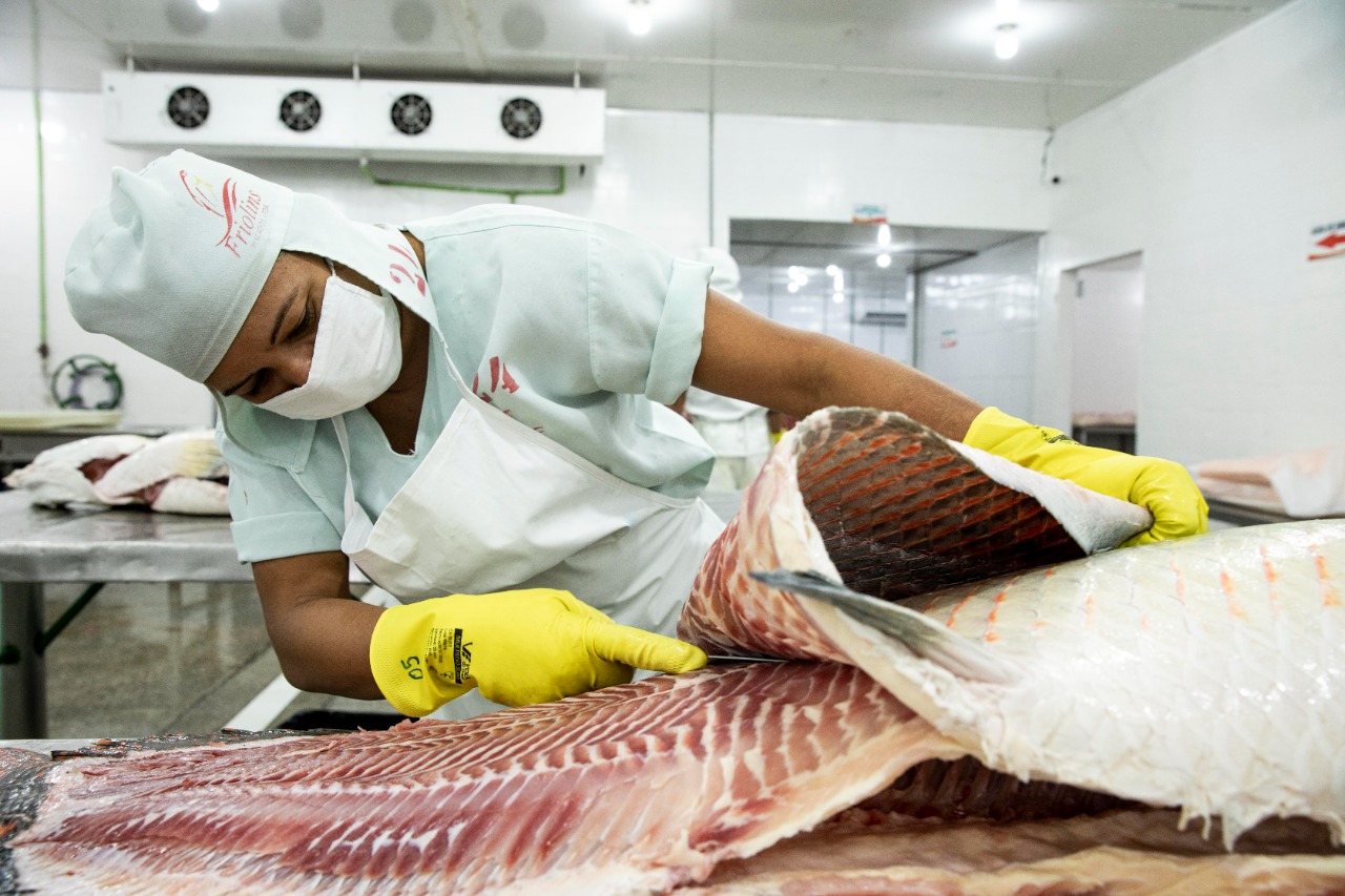Feirão terá venda de pirarucu e produtos orgânicos nesta quinta em Manaus 