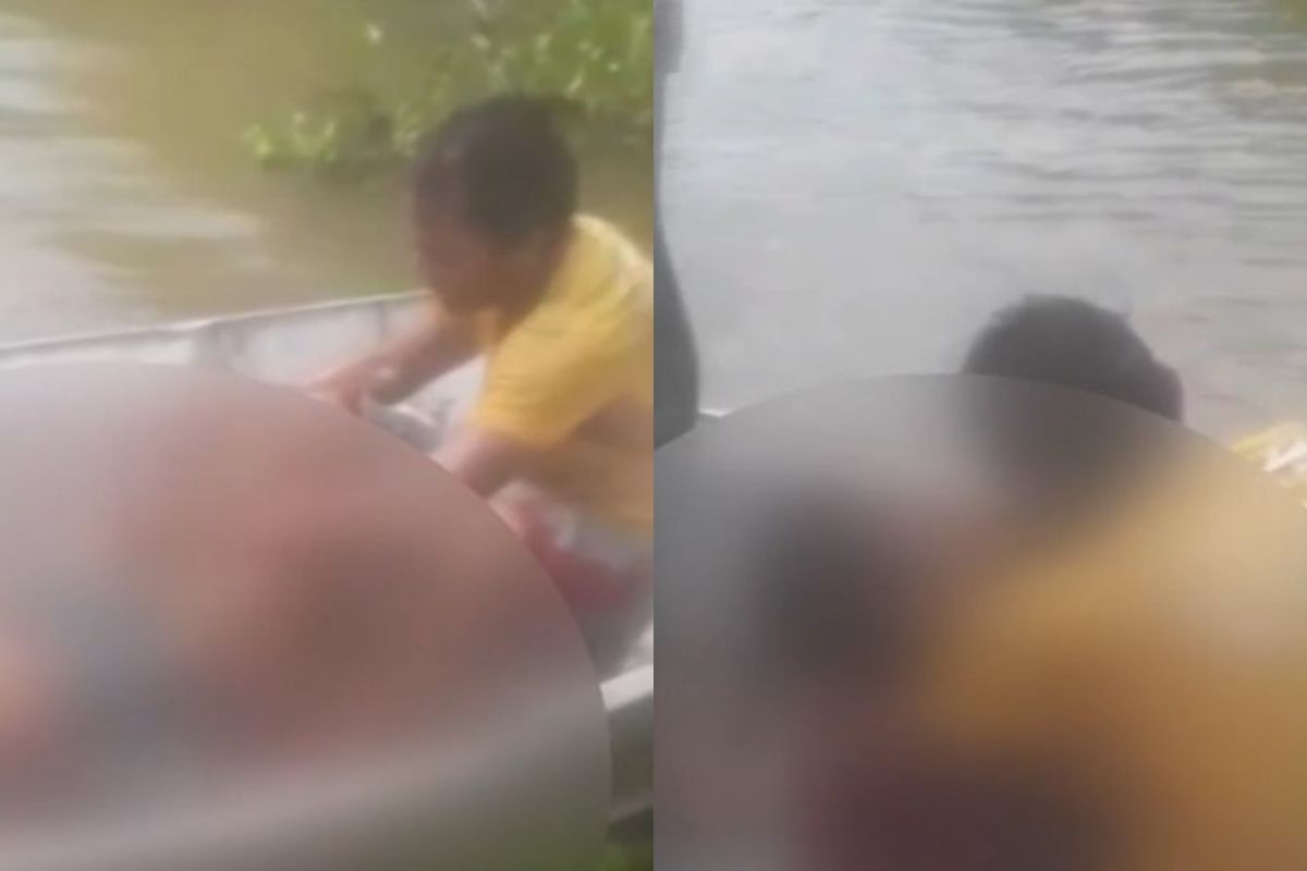 Menino de 8 anos morre após ser atacado por jacaré enquanto tomava banho em rio