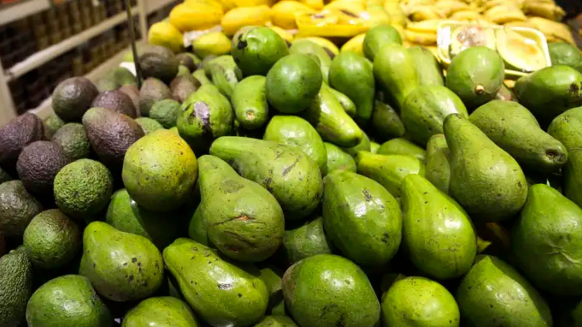 Brasil poderá exportar abacate para o Japão, anuncia ministro da Agricultura