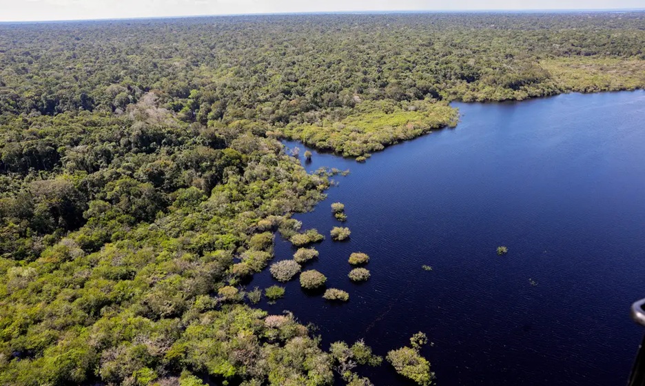 Desmatamento na Amazônia atinge menor nível em 11 anos, aponta Inpe