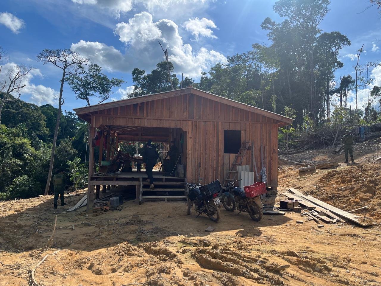 Homem é flagrado com armas escondidas em galhos de árvores em Apuí