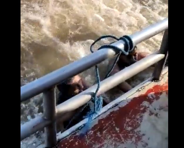 Vídeos mostram sobreviventes sendo resgatados após naufrágio no Pará