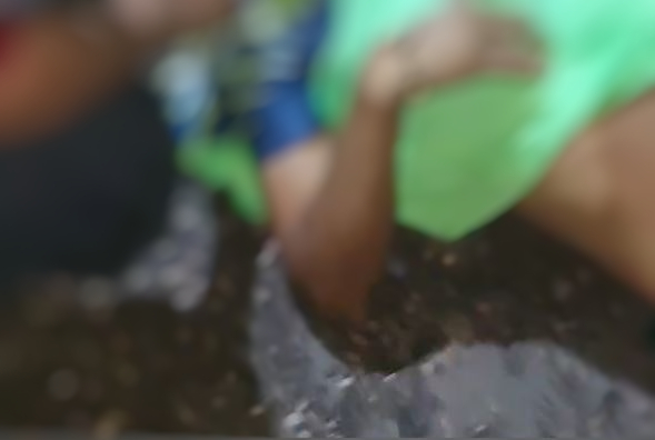 Jovem tem cabeça crivada de tiros por pistoleiros em Manacapuru