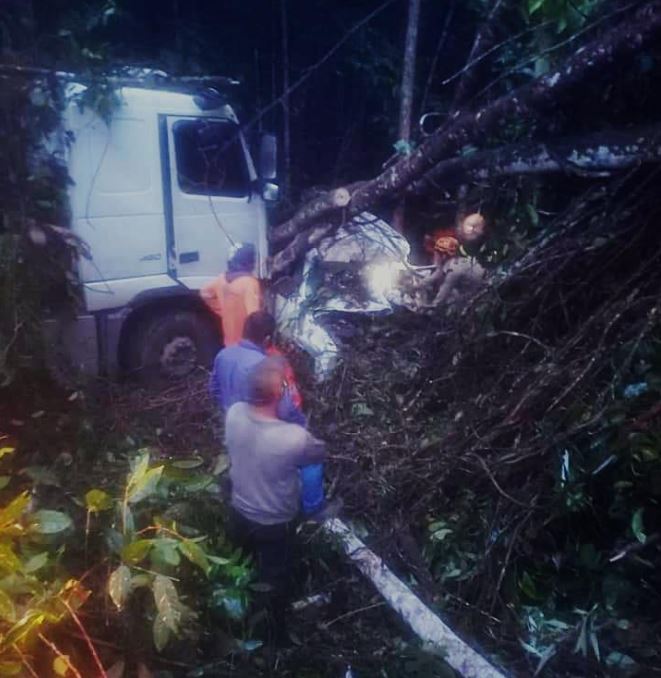 Motorista de carreta que matou homem esmagado na BR-174 diz que não conseguiu desviar