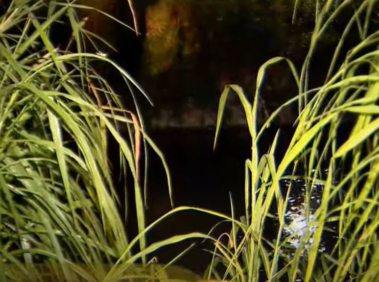 Homem desaparecido é encontrado vivo após passar 9 horas dentro de igarapé em Manaus