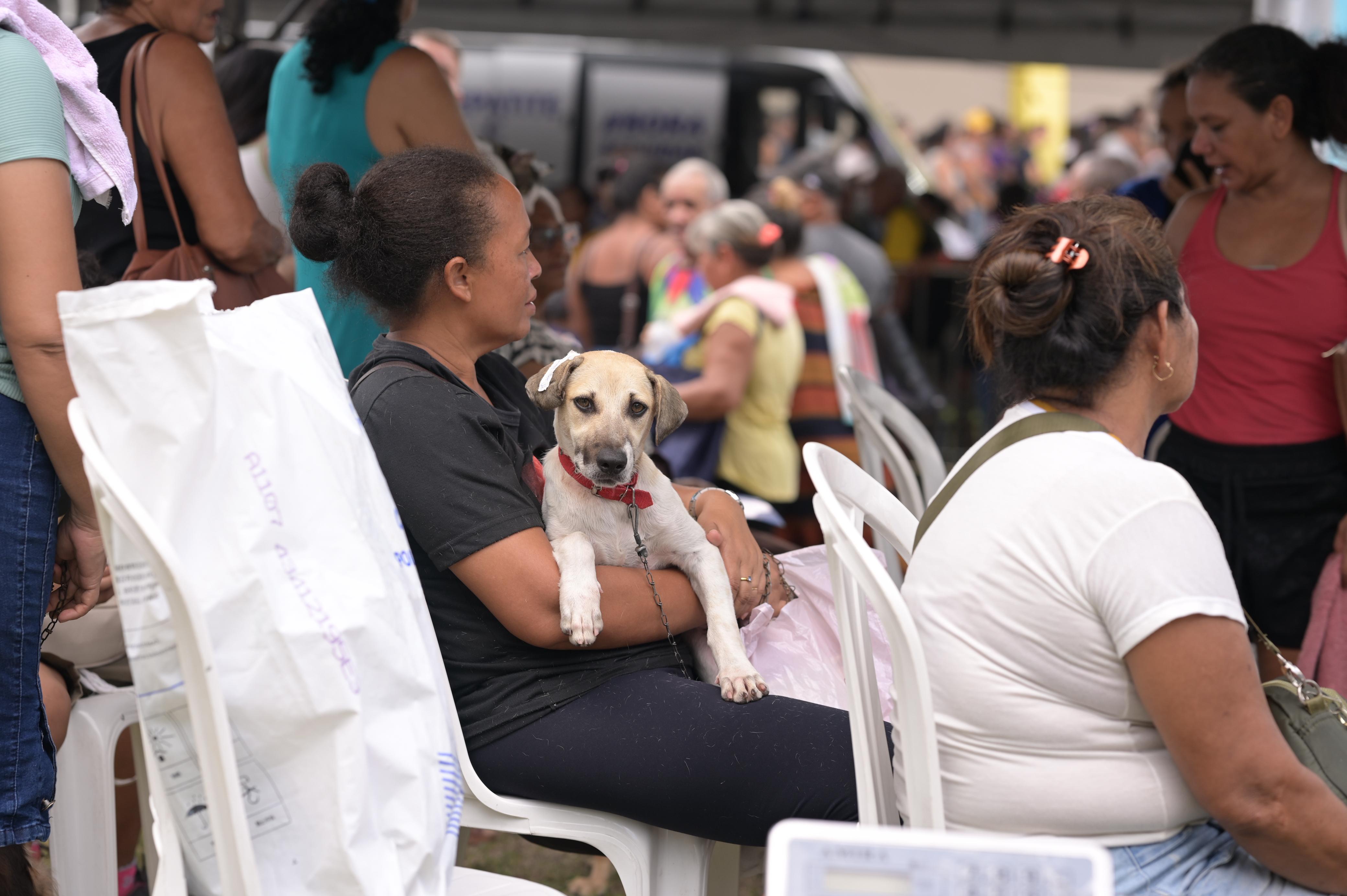 Secretaria abre agendamento para castração de cães e gatos no bairro Alvorada