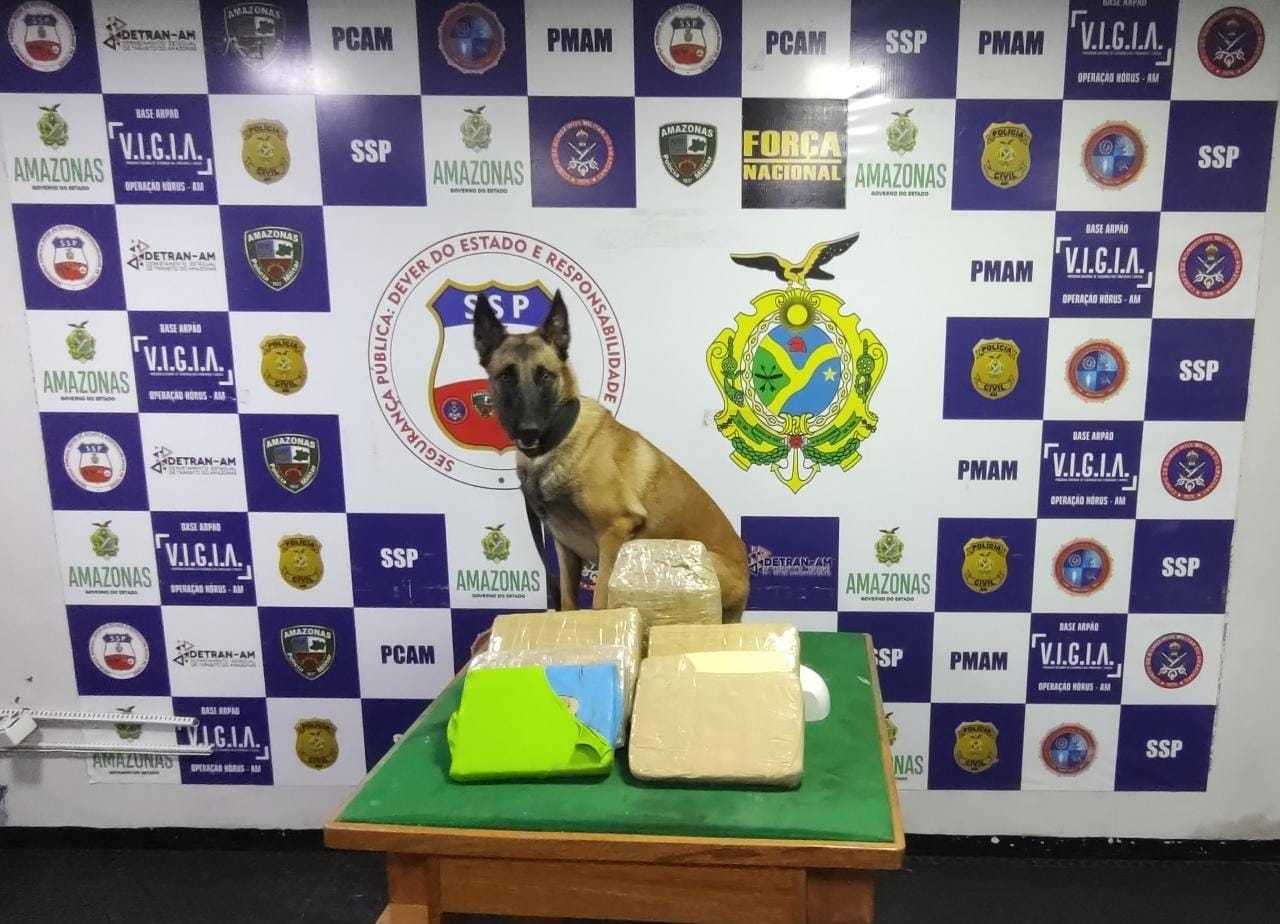 Drogas avaliadas em R$ 140 mil são apreendidas em lixeira de embarcação no Amazonas