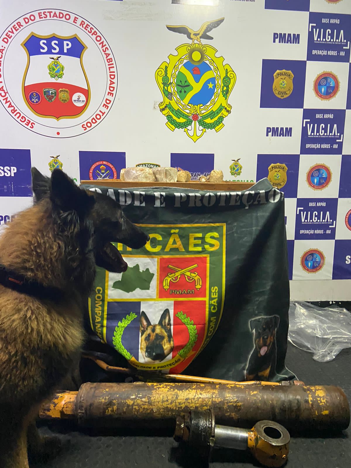 Drogas avaliadas em mais de R$ 2 milhões são apreendidas em embarcação no Amazonas