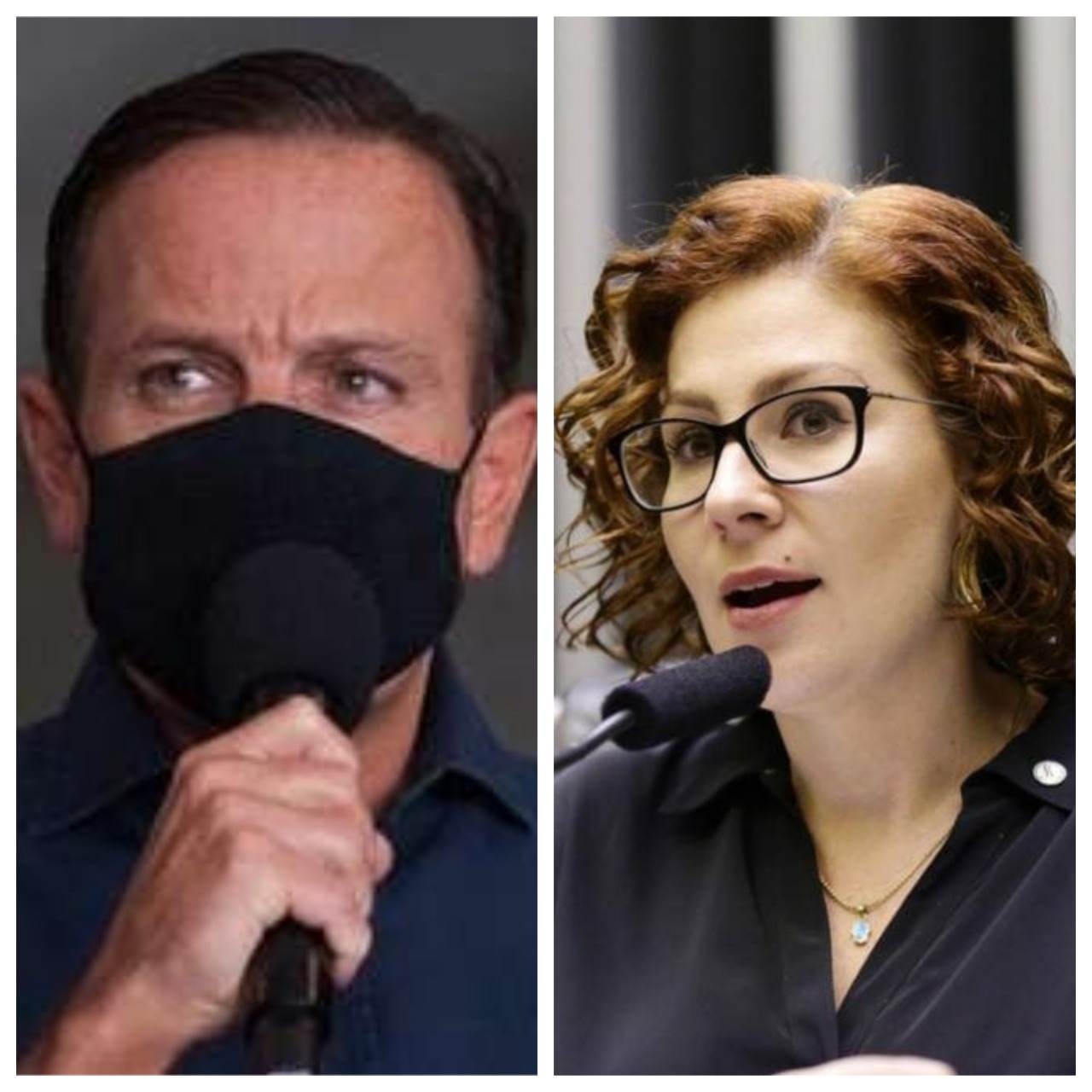 Vídeo: Doria chama Bolsonaro de genocida ao bater boca com Carla Zambelli