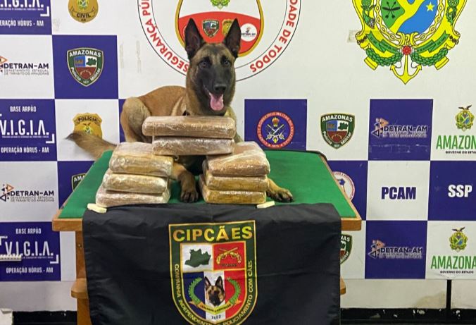 Bagagem com droga avaliada em R$ 120 mil é apreendida em barco no Amazonas