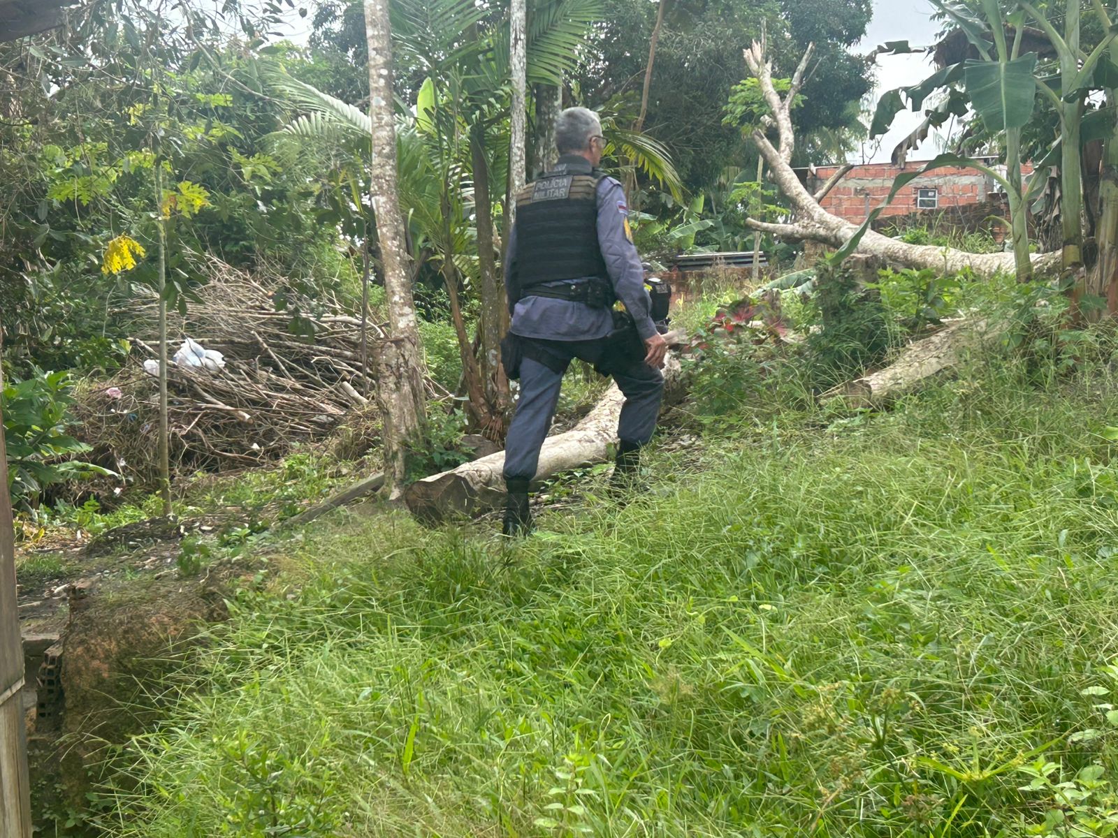 Polícia procura corpo de homem supostamente enterrado em mata no Jorge Teixeira