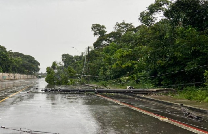 Árvore cai sobre fiação durante temporal e arranca poste na Ponta Negra