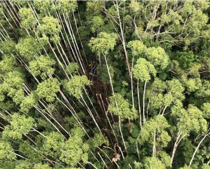 Helicóptero que desapareceu com quatro pessoas em SP é encontrado após 12 dias 