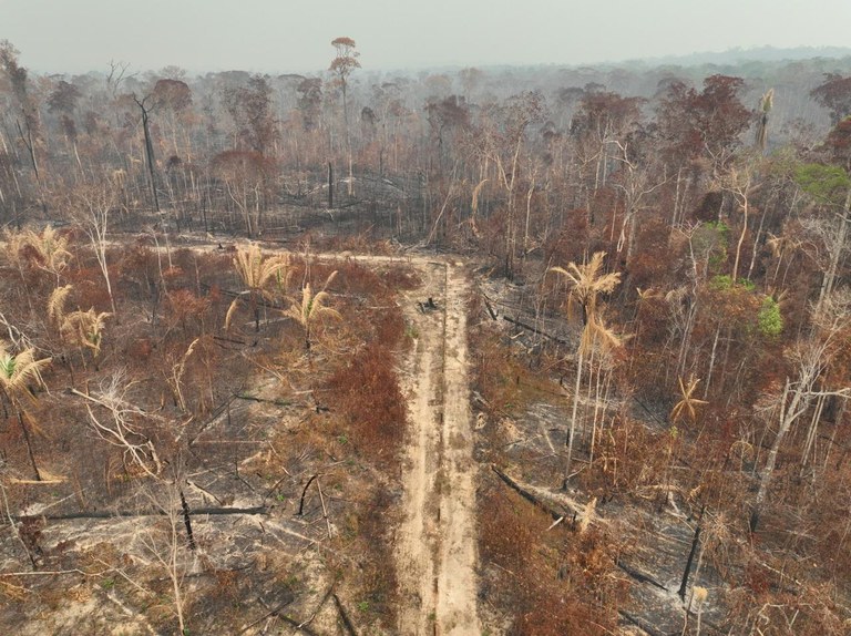 PF prende incendiário que destruiu mais de 320 hectares de terra no Amazonas