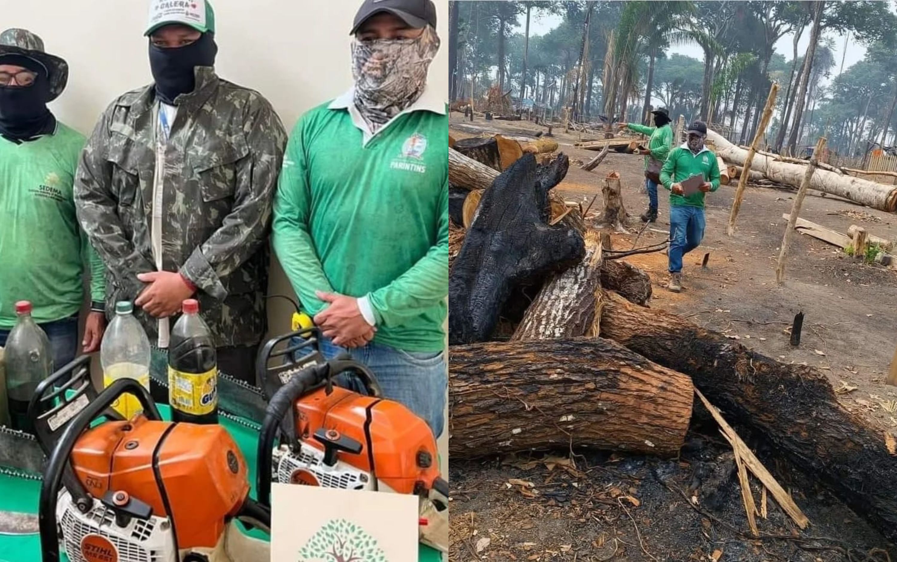 Dupla é flagrada derrubando castanheiras em ocupação de terra no Amazonas