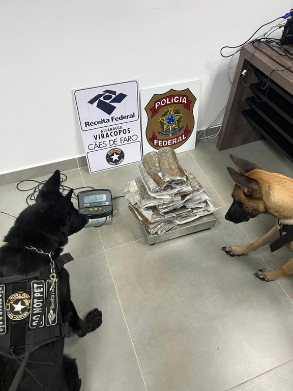 PF prende segundo passageiro que saiu de Manaus com drogas escondidas em cinta