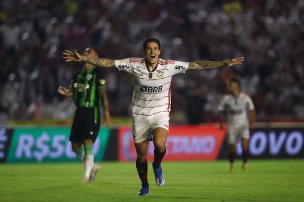 Flamengo passa Palmeiras, Vasco supera Grêmio e Atlético-MG lidera; veja posições