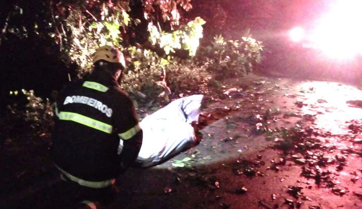 Motorista atingido por carreta na BR-174 foi esmagado e teve vísceras expostas