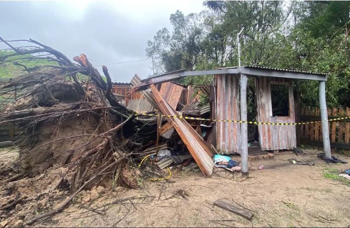 Idoso morre após árvore desabar sobre casa durante passagem de ciclone 