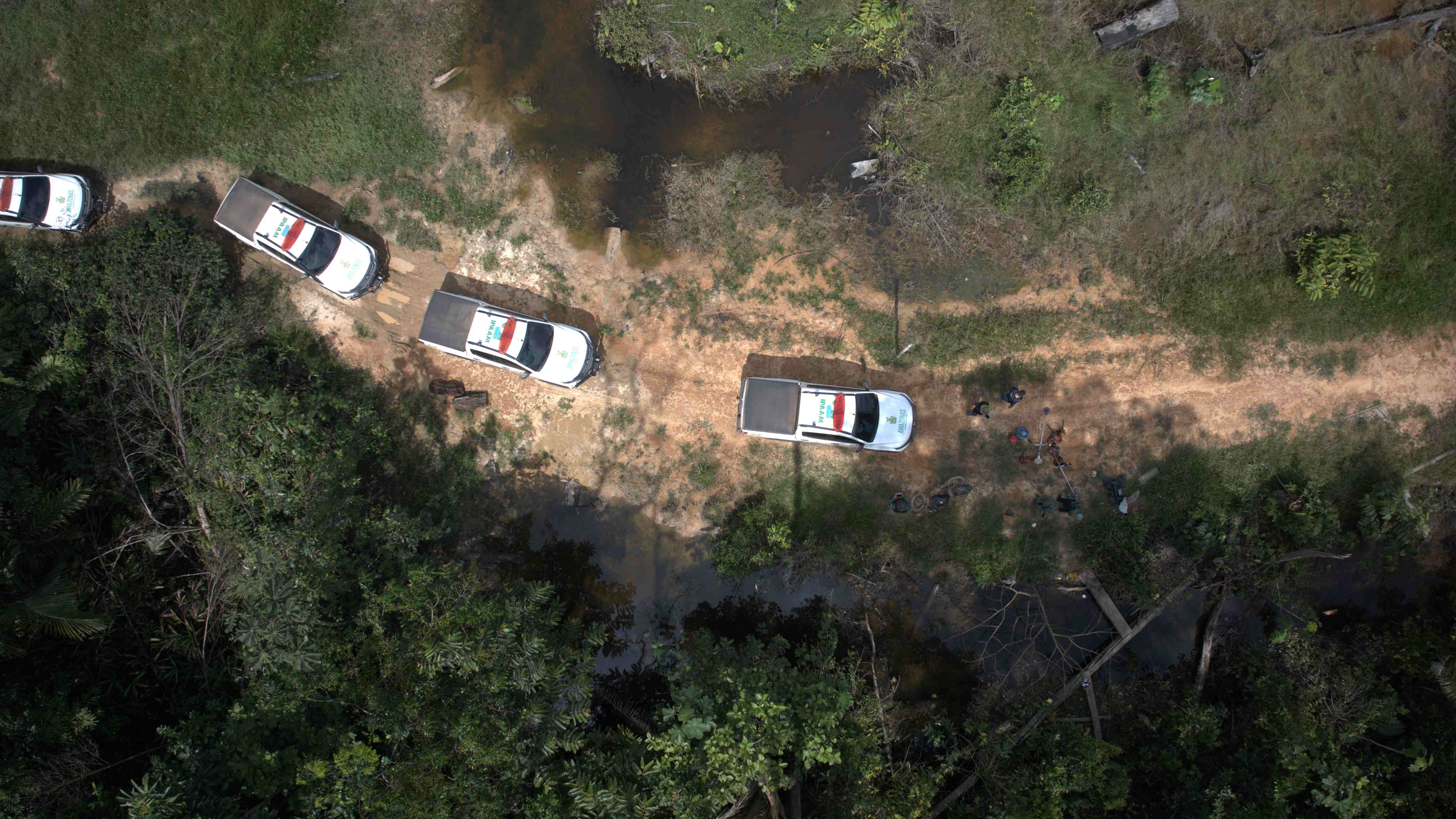 Fiscalização aplica multa de R$ 5 milhões por desmatamento em área com gado ilegal no Amazonas