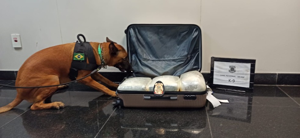 Cerca de 6kg de drogas escondidas em mala são apreendidas em Aeroporto de Manaus