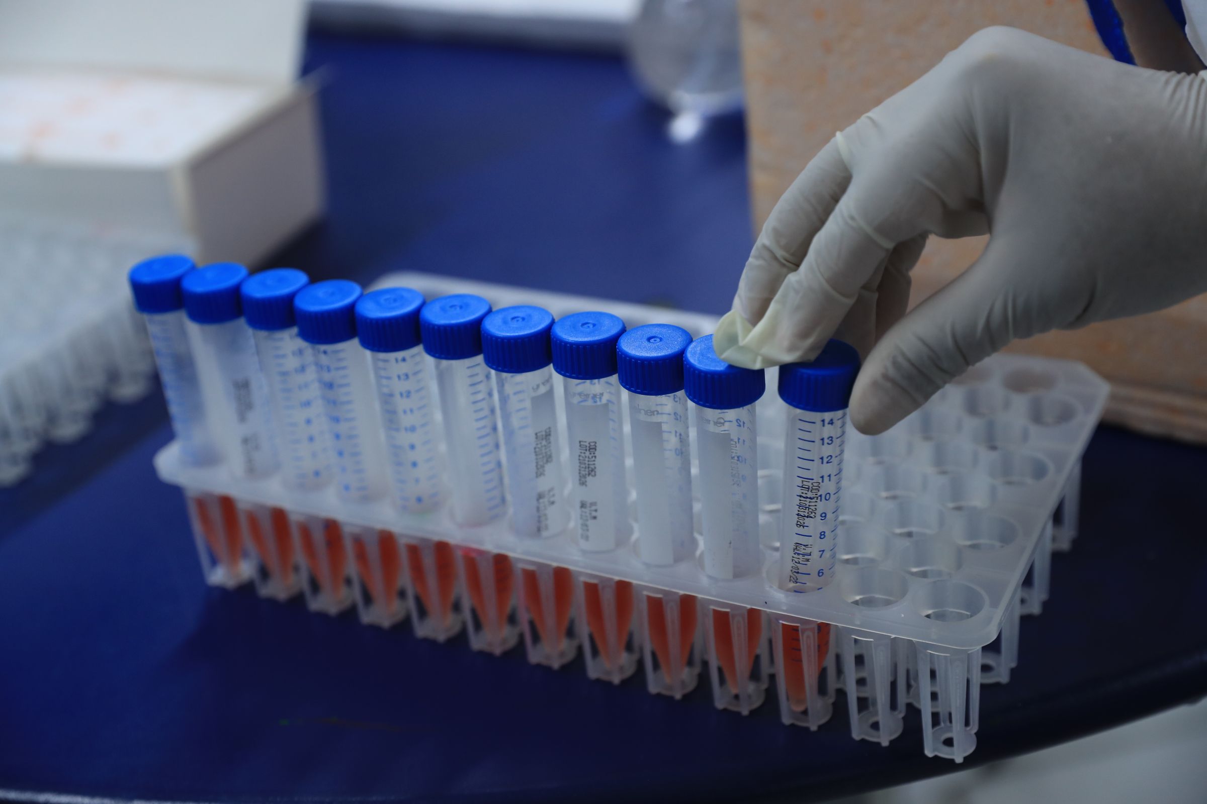 FVS-AM realiza testagem em professores e servidores de escolas particulares