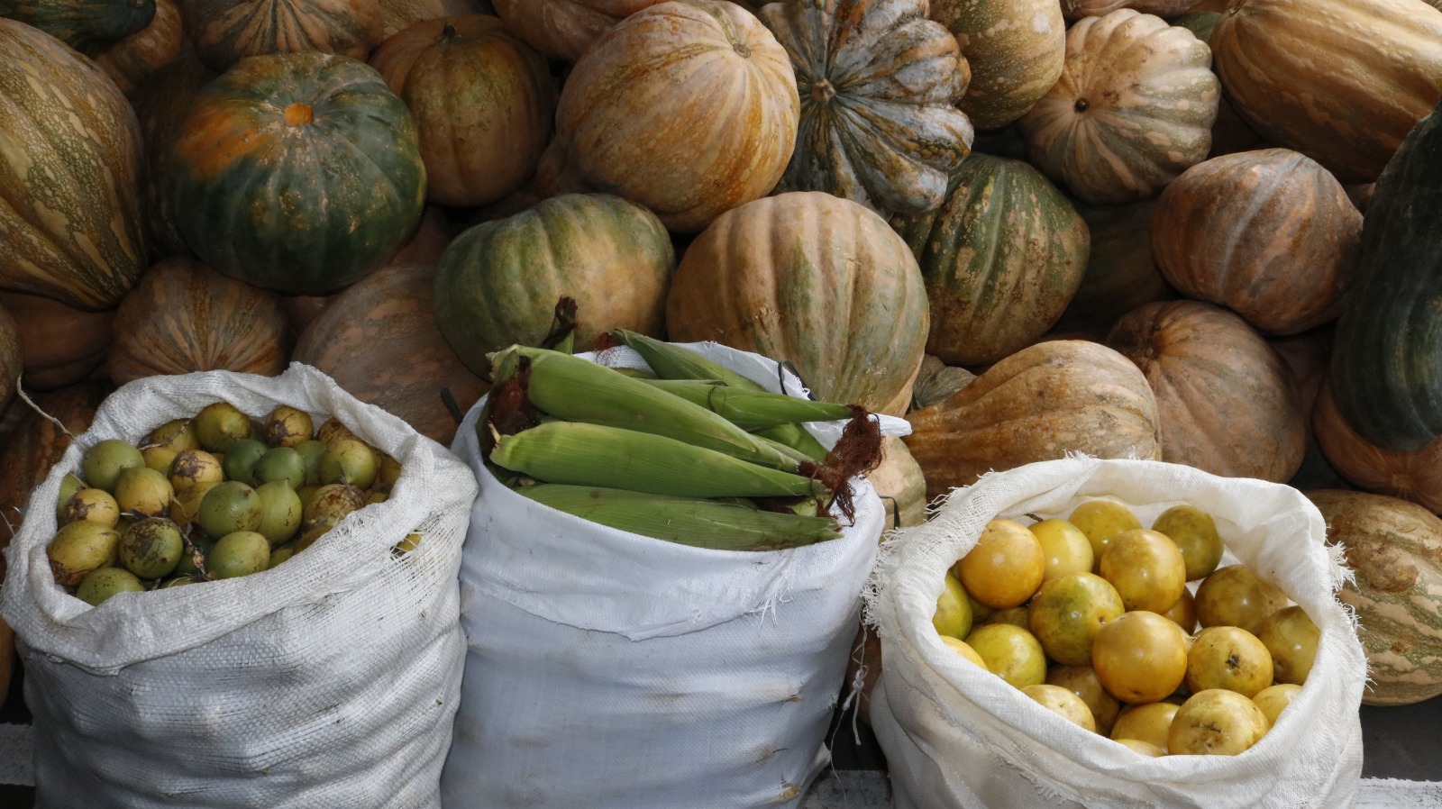 Inscrições para o Programa de Aquisição de Alimentos encerram nesta sexta-feira
