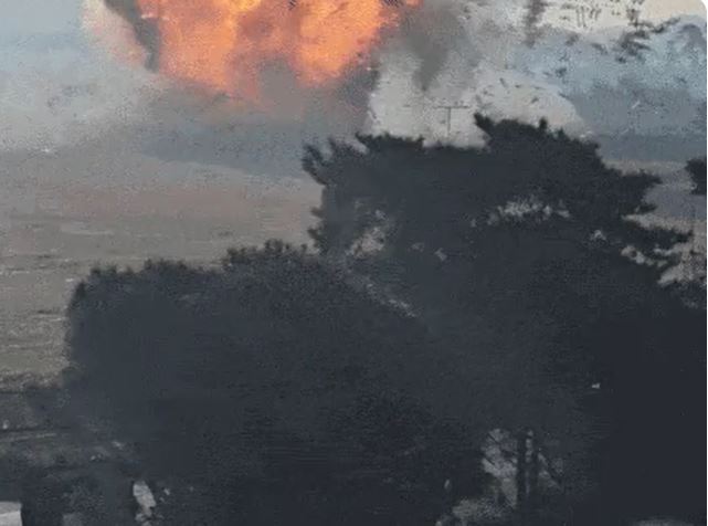 Piloto informou colisão com pássaros antes de avião explodir na Coreia do Sul