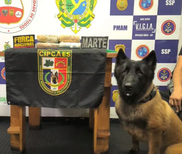 Polícia encontra drogas avaliadas em R$ 67 mil escondidas em pneus de barco no Amazonas