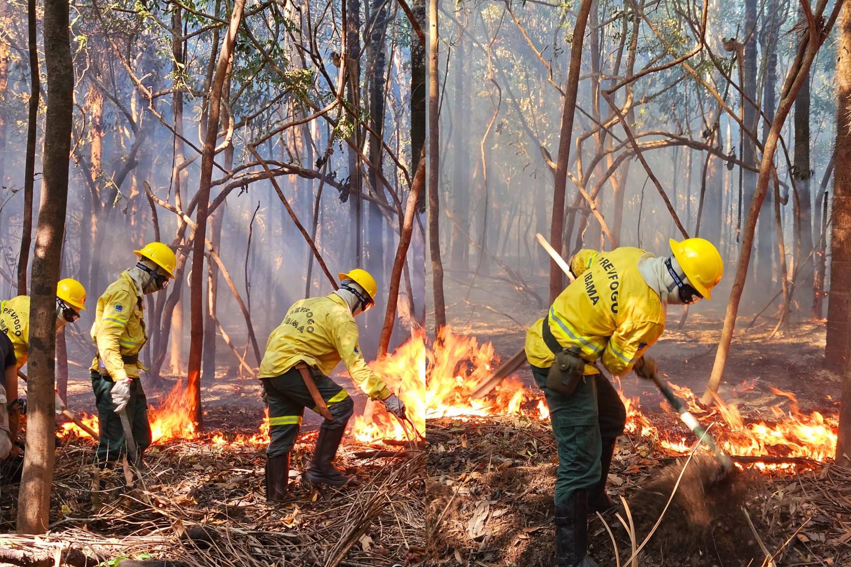 Ibama inicia combate a queimadas em Iranduba no Amazonas