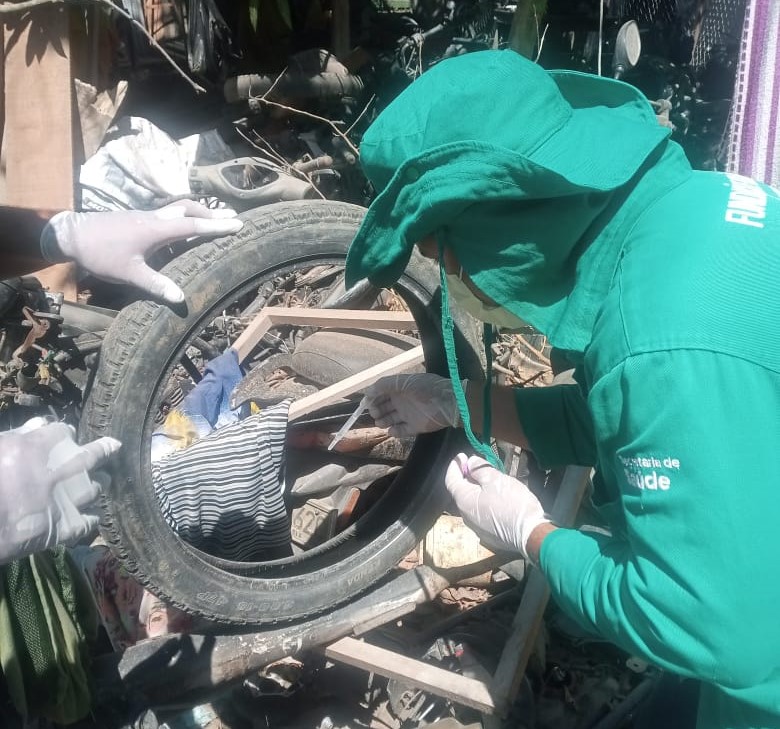 Amazonas tem 4.787 casos de dengue notificados