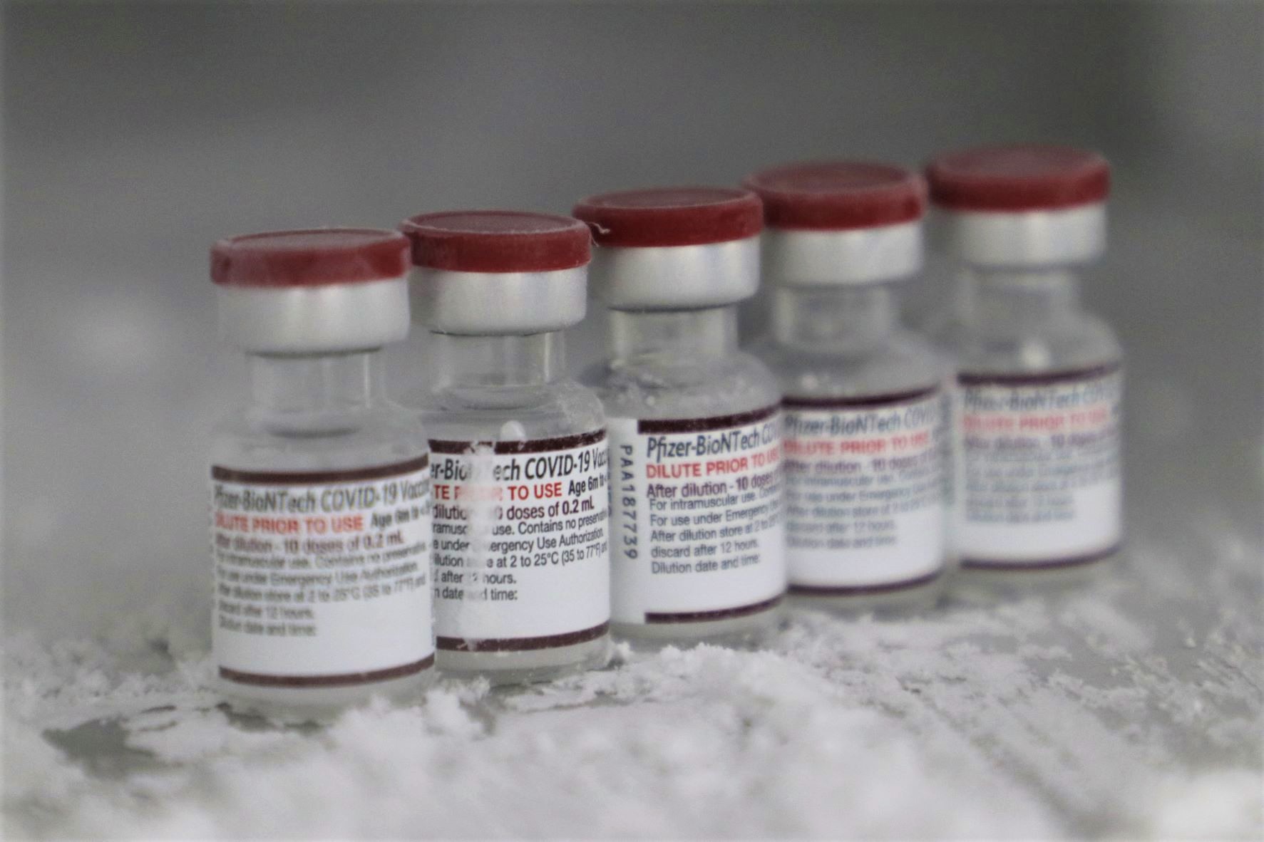 Amazonas recebe 120 mil doses de vacina Pfizer contra a Covid-19 