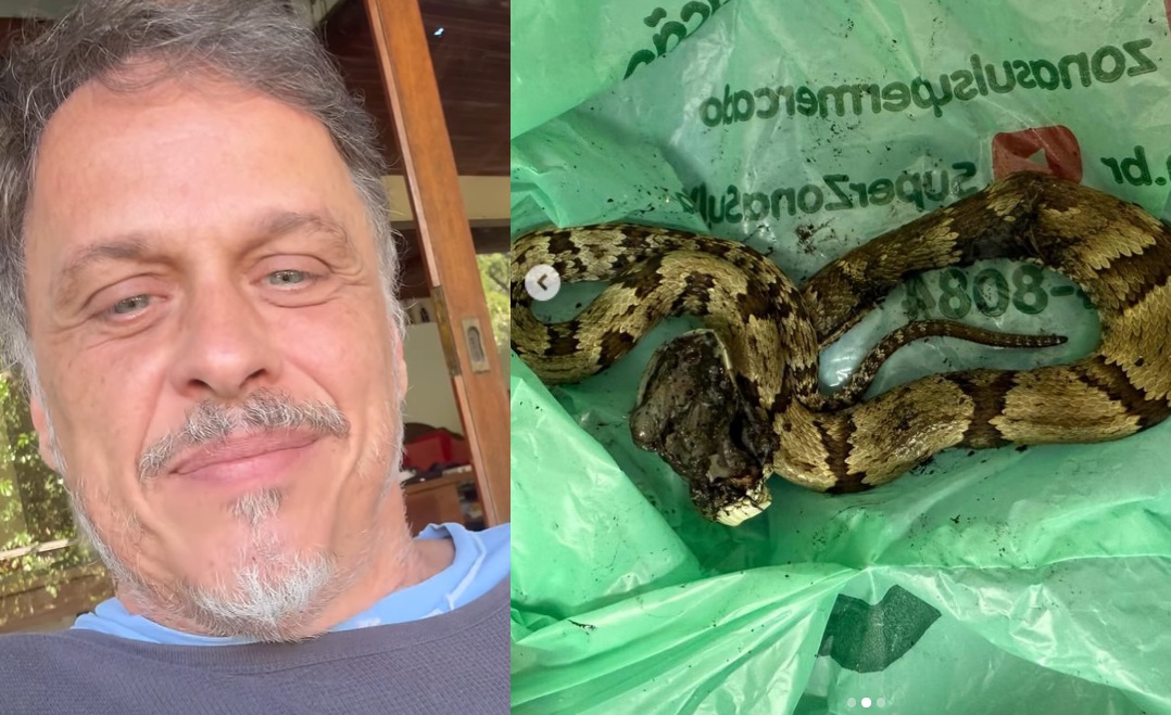 Guilherme Fontes vai parar no hospital após ser picado por jararaca 