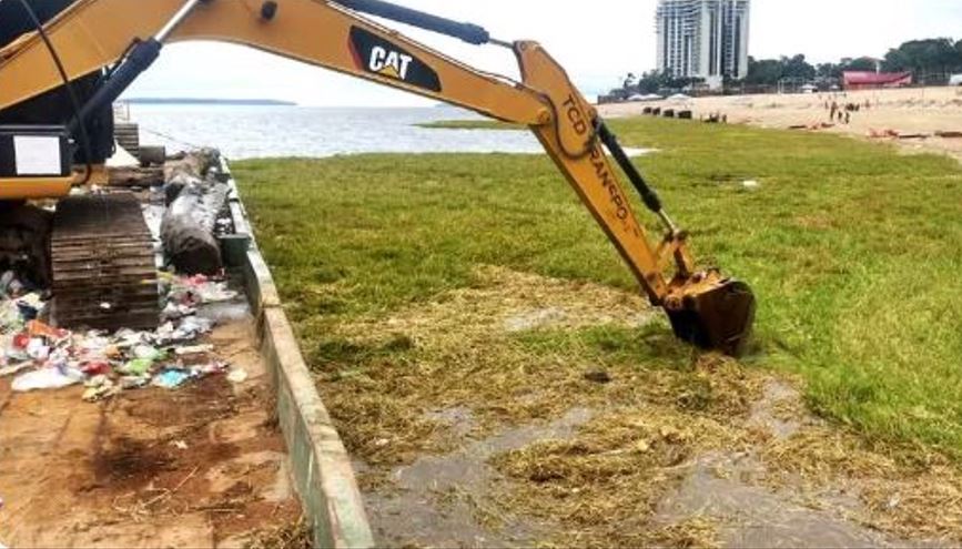 Orla de Manaus é tomada por canaranas após subida do Rio Negro