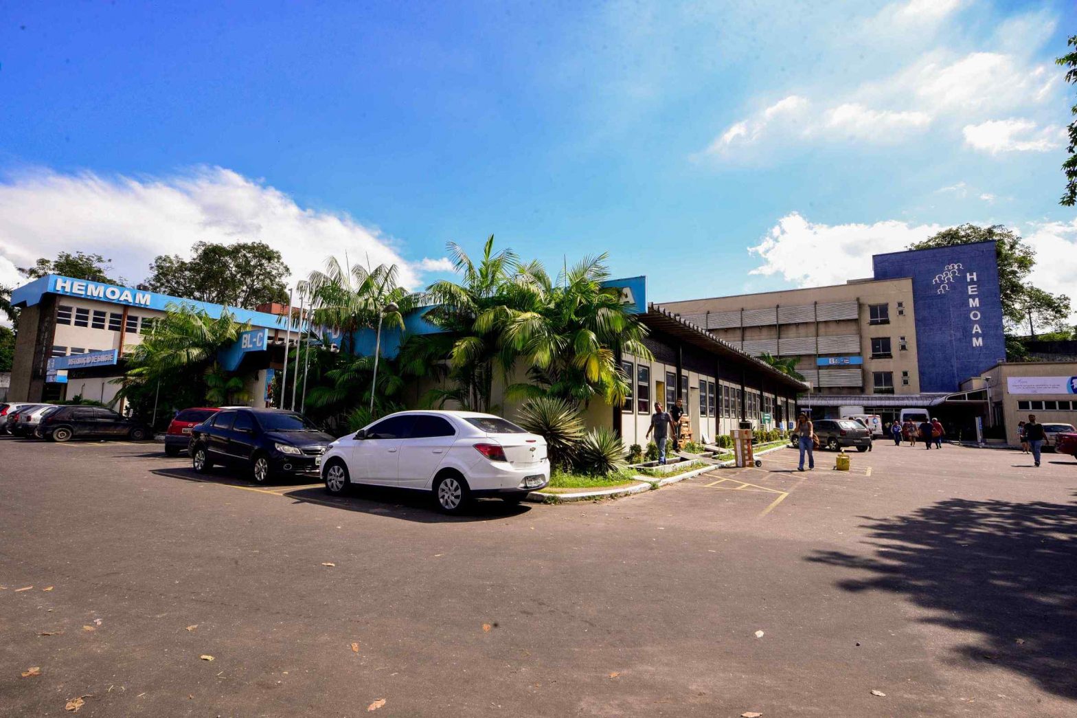Hemoam convoca classificados em Processo Seletivo para entrega de documentos; confira