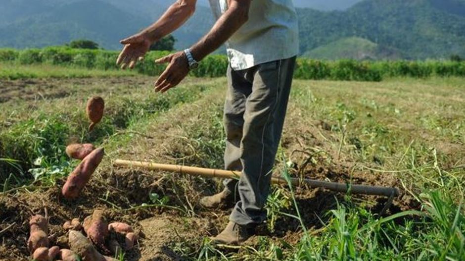 Governo Federal vai beneficiar famílias com novos lotes no Amazonas