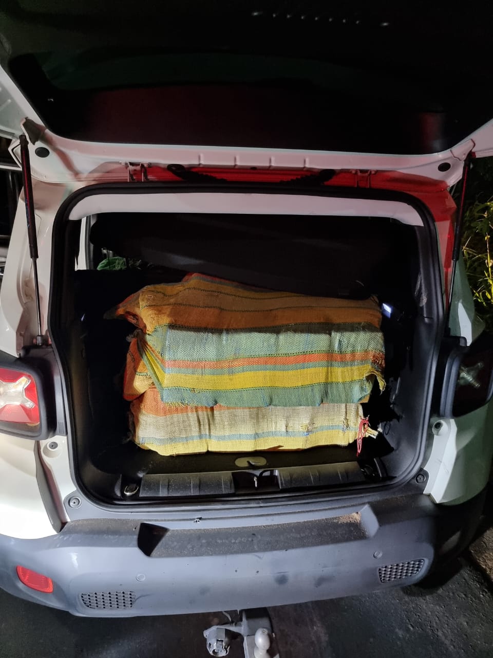 Dupla é presa tentando atravessar ponte com 250 Kg de drogas em Manaus