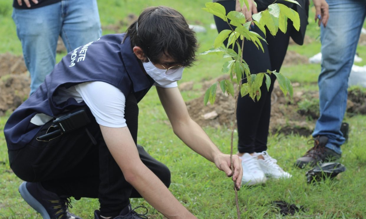 Projeto de Amom Mandel já plantou mais de 2.300 árvores em Manaus