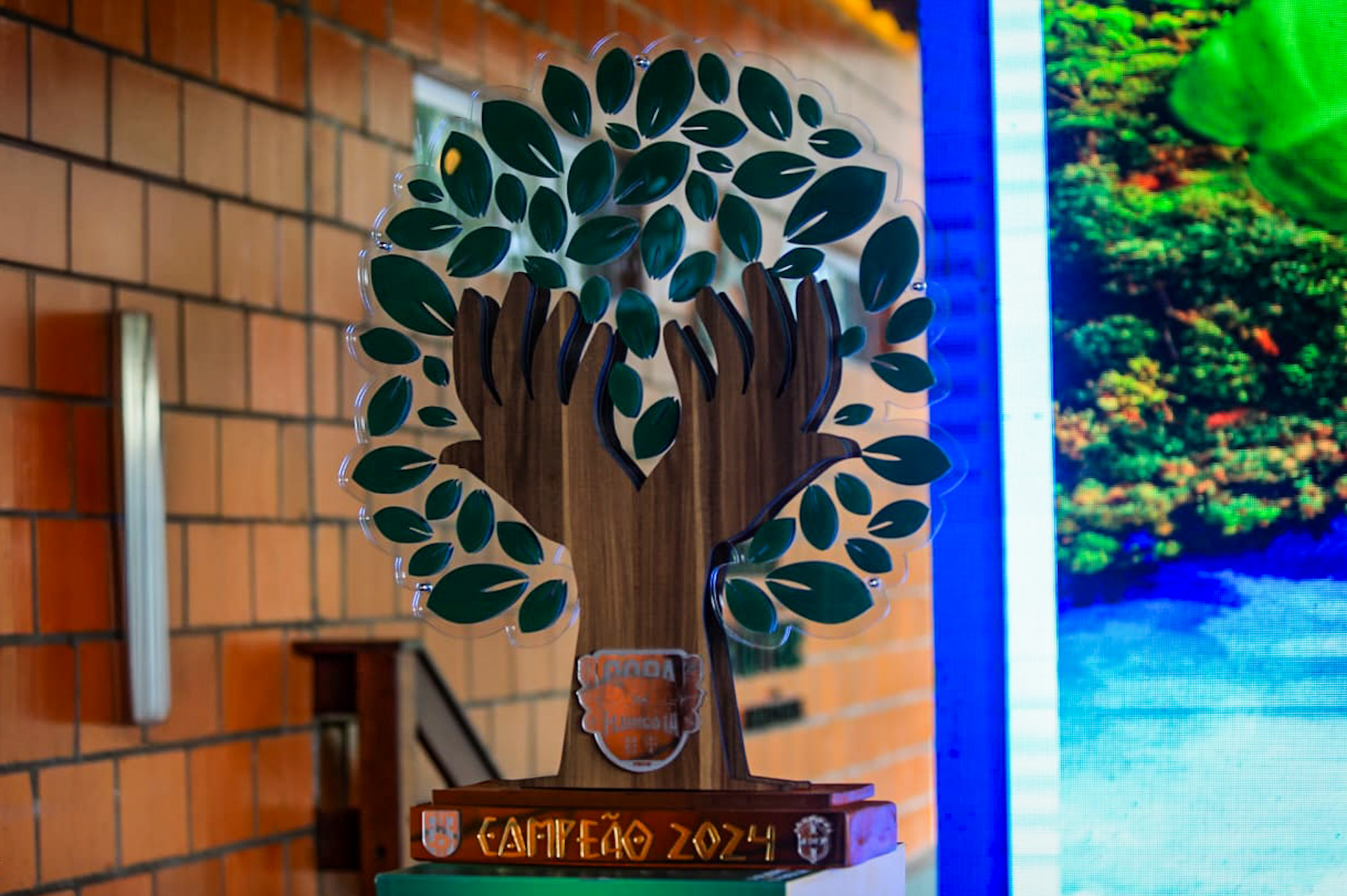 Copa da Floresta: 45 seleções municipais e mais de 2 mil atletas estão na edição 2024