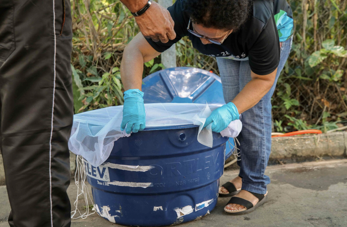Amazonas confirma três mortes por dengue e acumula 3.281 casos de Febre Oropouche