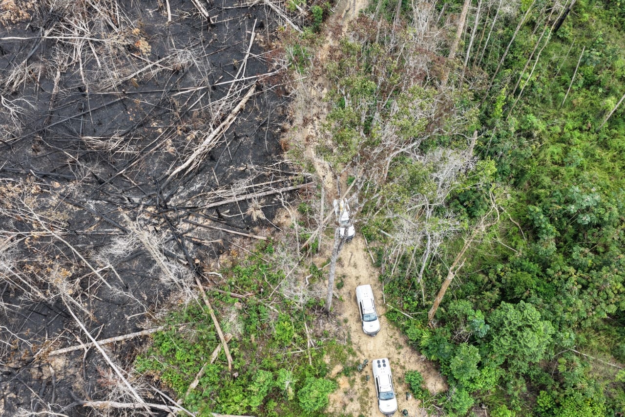 Operação contra desmatamento aplica mais de R$ 13 milhões em multas no Amazonas