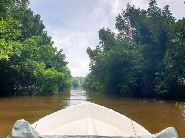 Friagem atingirá 17 cidades no Amazonas nos próximos dias