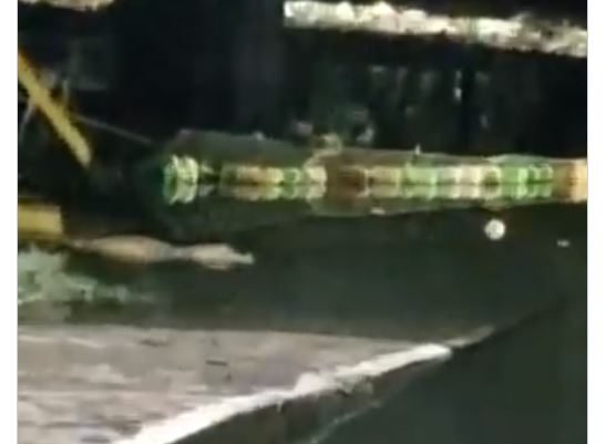 Jacaré nadando é filmado em rua alagada de Manaus; veja vídeo