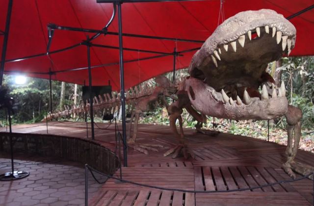 Pesquisadores encontram novas pistas sobre o maior crocodilo do mundo na Amazônia