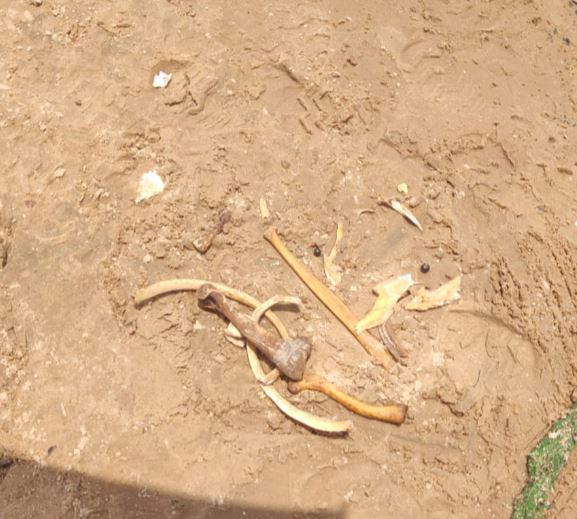 Nova ossada humana é encontrada em porto de Manaus