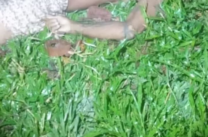 Caseiro tem cabeça esmagada a pauladas durante briga com colega em sítio na AM-010