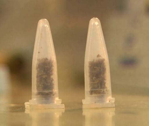 Droga 500 vezes mais potente e mais mortal que heroína é apreendida no Brasil