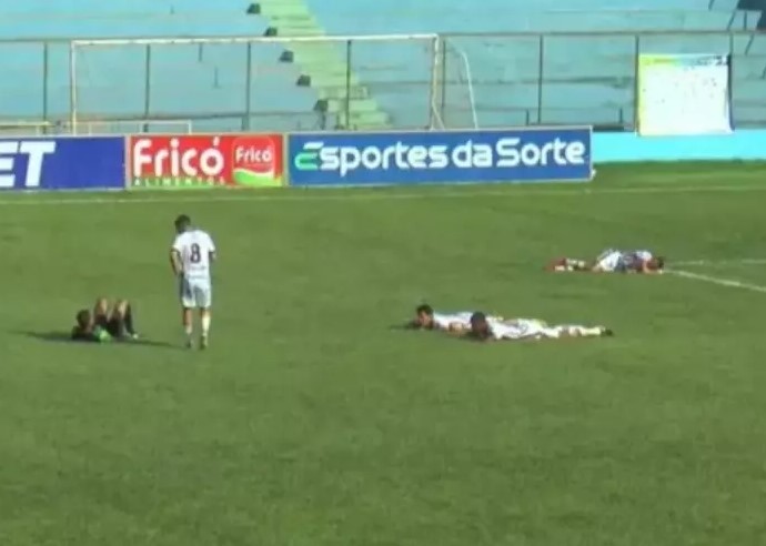 Jogadores se jogam no chão e jogo de futebol é paralisado após ataque de abelhas