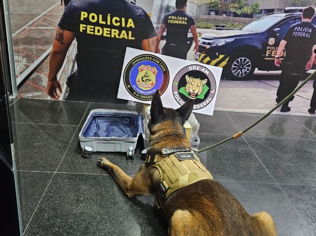 Mulher é presa ao tentar embarcar em Manaus com 10 quilos de maconha na mala